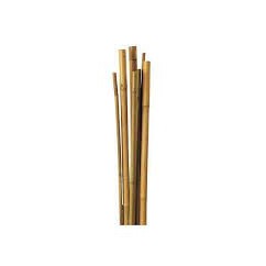 Tutor de bambú natural 210cm 